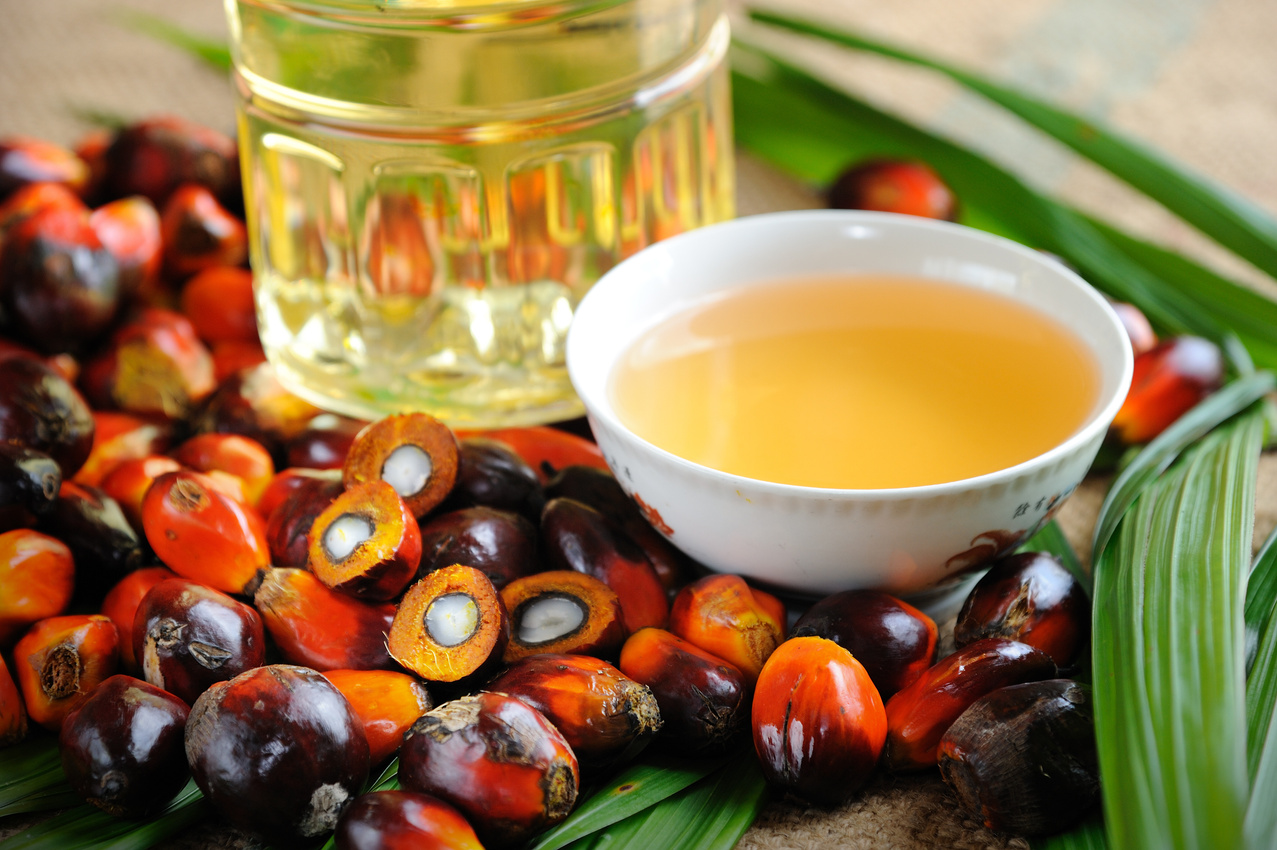 Oil palm fruits with cooking oil